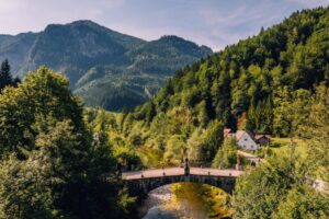 Lunz_DJI_20260820111126_0926_D_Sabine Wieser Lunz_DJI_20260820111126_0926_D_Sabine Wieser